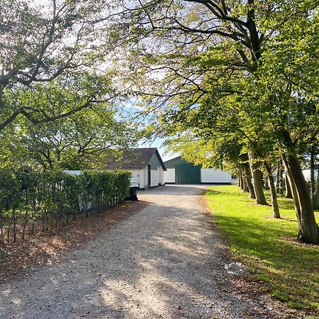 Country Guesthouse Gadstrup Zewnętrze zdjęcie